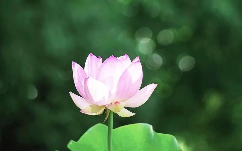 解读：牌阵与深度解析指南开元ky棋牌塔罗